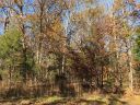 6904 Shady Oak Lane sold home in Waxhaw, SC