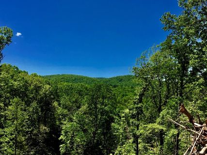 Woodlands 3 Curtain Bluff None w3