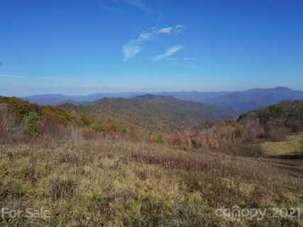 A20 22 Big Laurel Road A20-22 sold home in Big Laurel Inc, Waynesville, NC