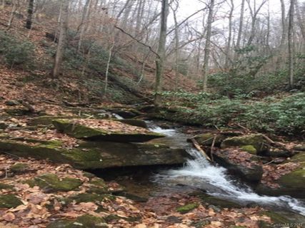 00 Private Road 21,22,23,25,26,27,28 sold home in Bear Creek, Saluda, NC