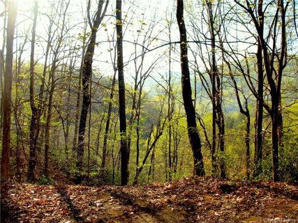 00 Charleston Harbor Drive 138 sold home in Falls Landing, Saluda, NC