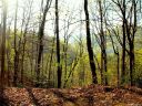 00 Charleston Harbor Drive 138 sold home in Saluda, SC