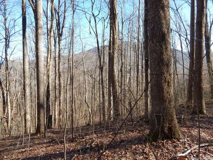 Lot 44 Fern Trail