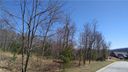 163 Stonefly Drive 121 sold home in Horse Shoe, SC
