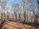 99999 High Top Drive 17 sold home in Fletcher, SC