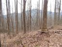 Lot 45 Fern Trail sold home in Waynesville, SC
