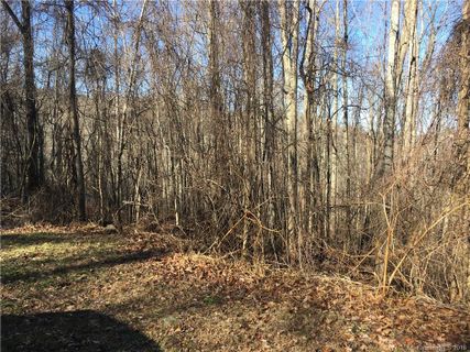 104 Aster Ridge Trail