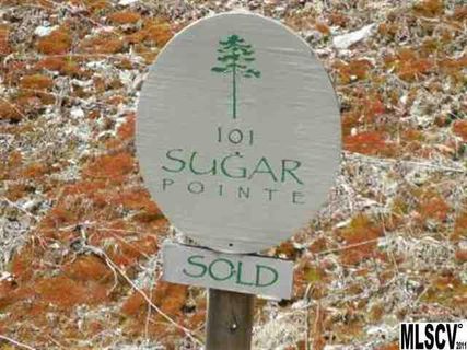 Lot 101 Cloud Springs Drive sold home in Sugar Pointe at Cloud Spring Park, Sugar Mountain, NC