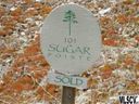 Lot 101 Cloud Springs Drive sold home in Sugar Mountain, SC