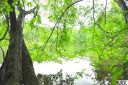 Lot 36 High Vista Court sold home in Valdese, SC