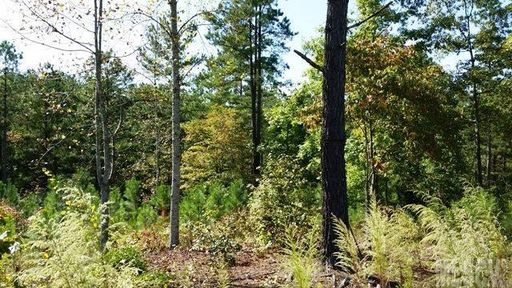 3187 Panoramic Vista Court 62 sold home in Lake Vista, Valdese, NC