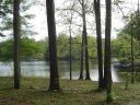 1317 Knebworth Lane sold home in Catawba, SC
