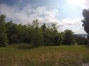 Lot 20 Goose Creek Lane sold home in Taylorsville, SC