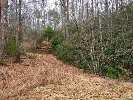 136 Blythe Road sold home in Oak Woods, Pisgah Forest, NC