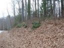Tbd Upper Whitewater Road 128 sold home in Sapphire, SC