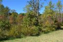 212 Winding Cedar Drive 45 sold home in Statesville, SC
