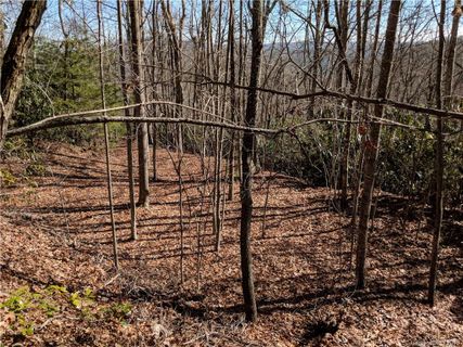 00 Pisgah Forest Drive 33