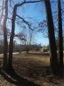 13640 Saint Thomas Drive sold home in Stanfield, SC