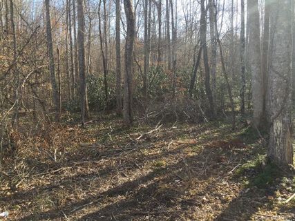 Lot 138 Overland Trail
