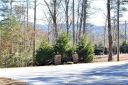 36 Crystal Cove Drive 5 sold home in Hendersonville, SC
