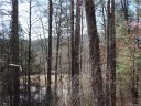 3511 Chimney Rock Road sold home in Hendersonville, SC