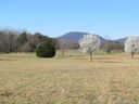00 Greenwood Road sold home in Tryon, SC