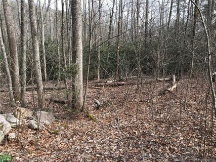 914 Wash Freeman Road 7