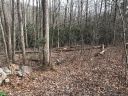 914 Wash Freeman Road 7 sold home in Hendersonville, SC