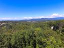 34 Forest Spring Drive 32 sold home in Asheville, SC