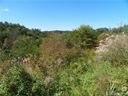 424 Macbeth Street sold home in Weaverville, SC