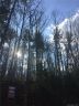 12 Forest Spring Drive 36 sold home in Asheville, SC