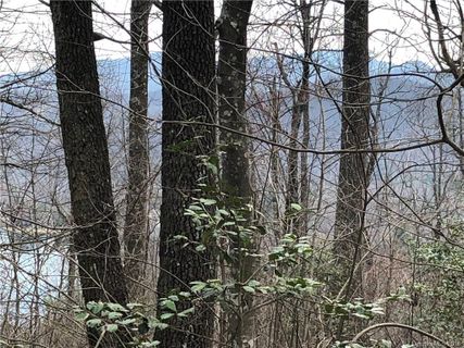 Lot 21 Tanglewood Lane