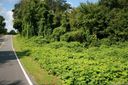 Lot 6 Idlewood Lane sold home in Forest City, SC