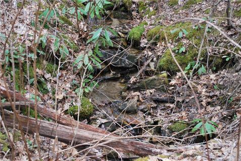 Lot 25 Bear Rock Loop Road