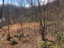 194 Stable Lane sold home in Maggie Valley, SC