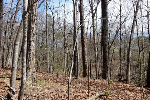 Lot 24 Pier Point Drive sold home in Pierpoint, Lake Lure, NC