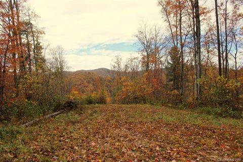 Tbd Meadow Fork School Road 5 sold home in Meadow Fork Ranch, Hot Springs, NC