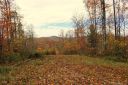 Tbd Meadow Fork School Road 5 sold home in Hot Springs, SC