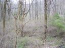Lot 81 Turkey Run Drive sold home in Mars Hill, SC