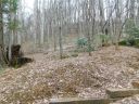 44 Apple Tree Court sold home in Waynesville, SC