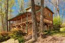 31 Morning Star Drive sold home in Leicester, SC