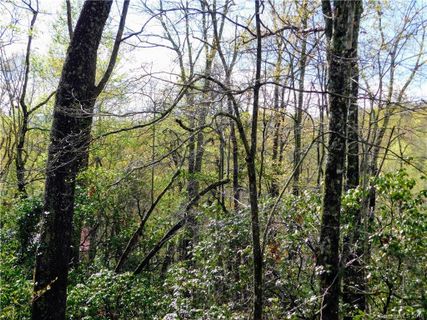 L25r Pisgah Forest Drive