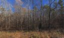 310 Blue Heron Road sold home in Salisbury, SC