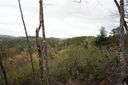 Tbd Ruffed Grouse Road 46 sold home in Brevard, SC