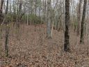0 Line Runner Lake Road sold home in Rosman, SC