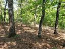 Tbd Chimney Rock Road 24, 23 sold home in Mill Spring, SC