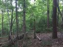 00 Echo Lane sold home in Saluda, SC