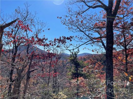 Tbd Miller Cove Road sold home in Miller Cove, Black Mountain, NC