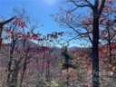 Tbd Miller Cove Road sold home in Black Mountain, SC