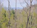 213 Solomon Circle 40 sold home in Hendersonville, SC